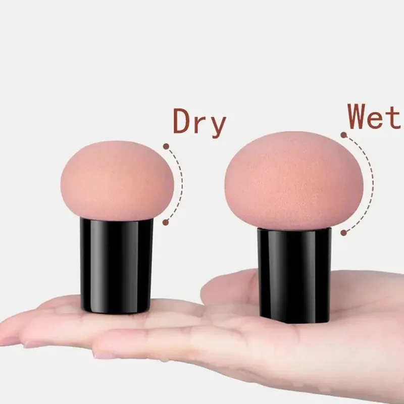 Alat kecantikan rias wajah, sp - Beauty Makeup Tools Use ulasan dan harga